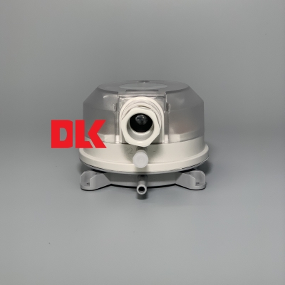 SERIES ADPS_DWYER_DLK_2